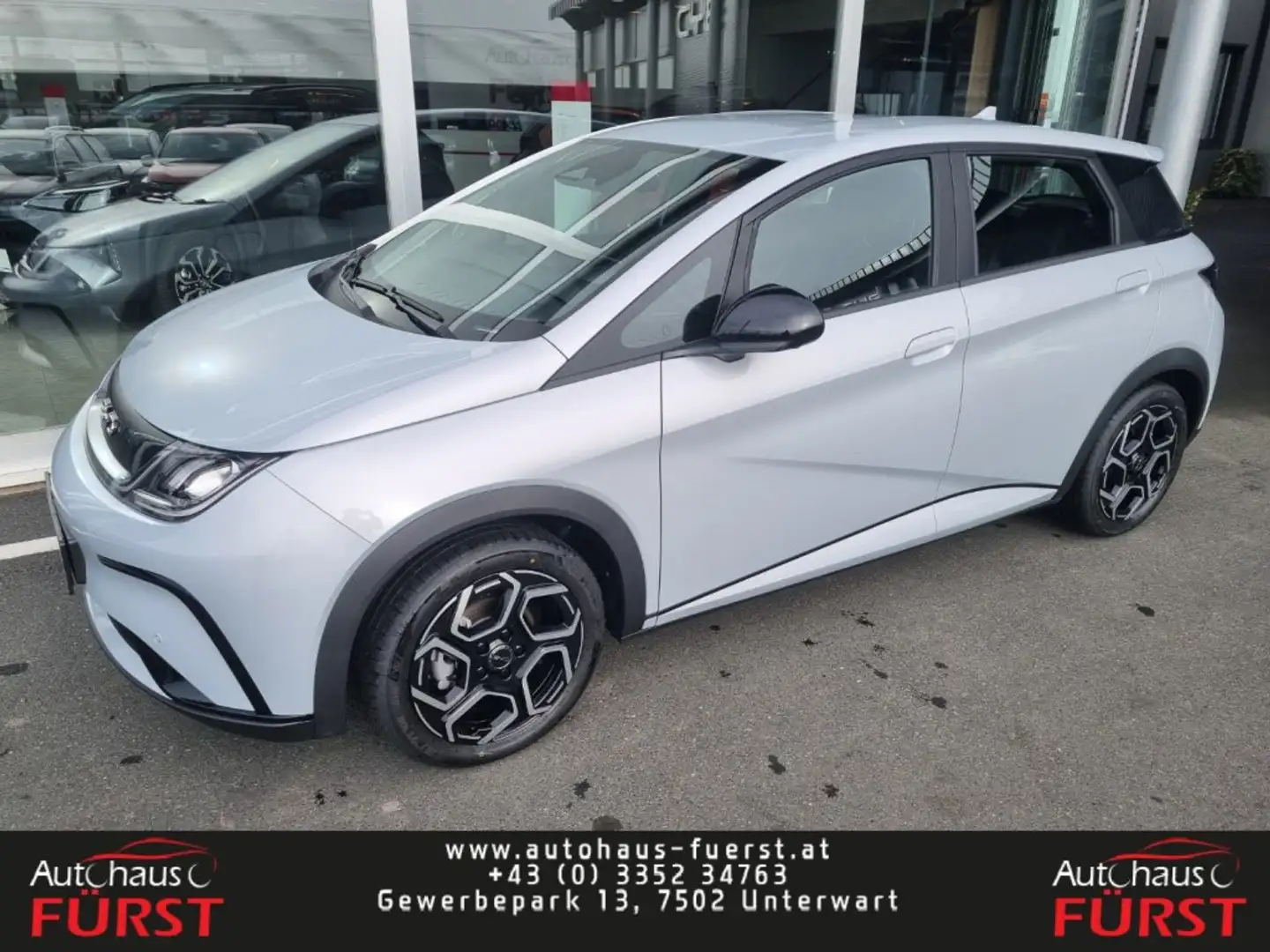 BYD Dolphin Comfort MY2025 Weiß - 1