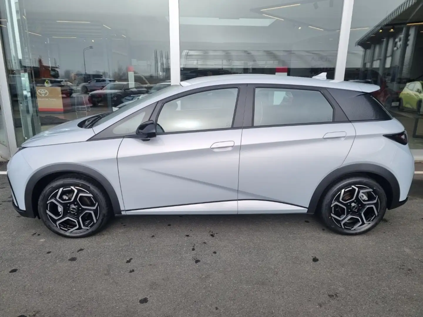 BYD Dolphin Comfort MY2025 Weiß - 2