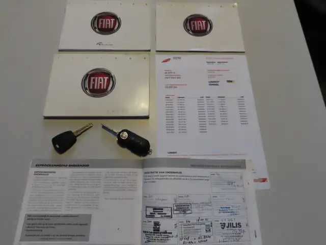 Fiat 500 view 18