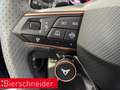 CUPRA Terramar 1.5 eTSI DSG VZ HEAD-UP TOP-VIEW AHK Blau - thumbnail 29