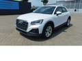 Audi Q2 30 1.0 TFSI BMT Navi Klima ALU Weiß - thumbnail 8