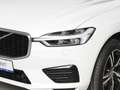 Volvo XC60 T8 Twin Engine AWD Geartronic R-Design *AHK* Weiß - thumbnail 7