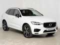 Volvo XC60 T8 Twin Engine AWD Geartronic R-Design *AHK* Weiß - thumbnail 3