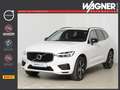 Volvo XC60 T8 Twin Engine AWD Geartronic R-Design *AHK* Weiß - thumbnail 1