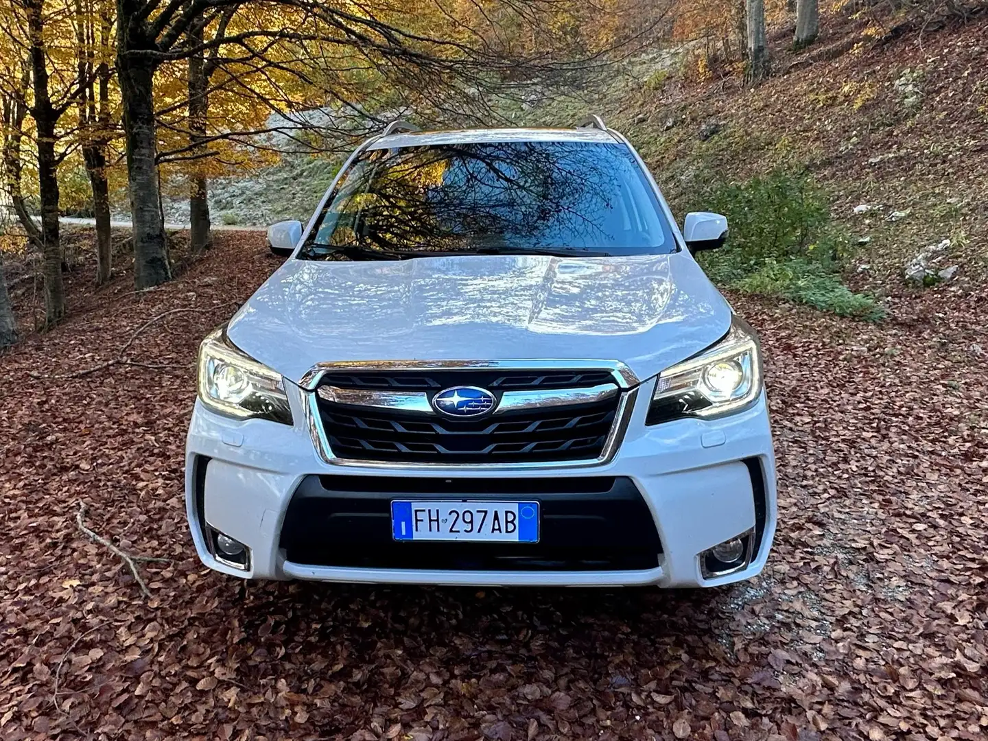 Subaru Forester 2.0d 12/2016 in Garanzia Ufficiale , IVA ESPOSTA Bílá - 1