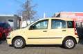 Fiat Panda 1.2 8V MyLive/Klima/Servo/Euro5/Tüv/ Gelb - thumbnail 7