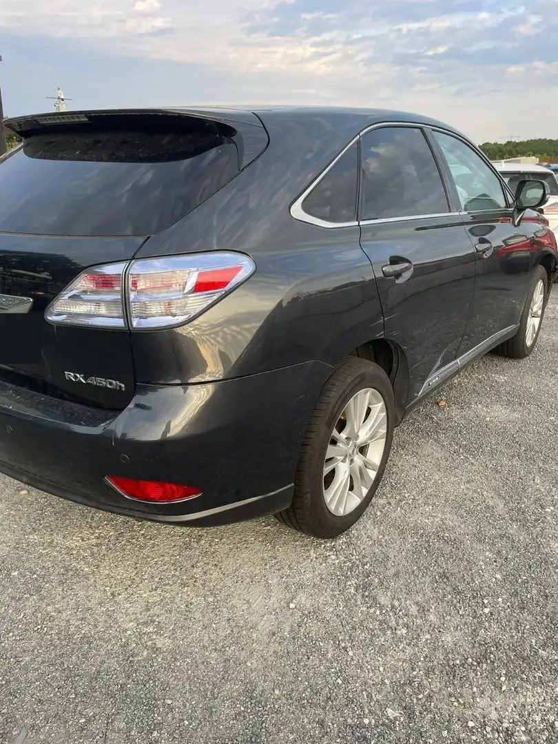 Lexus RX 450h (hybrid) Luxury Line - 1