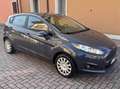 Ford Fiesta Fiesta 5p 1.4 16v Titanium Business Gpl Gris - thumbnail 1