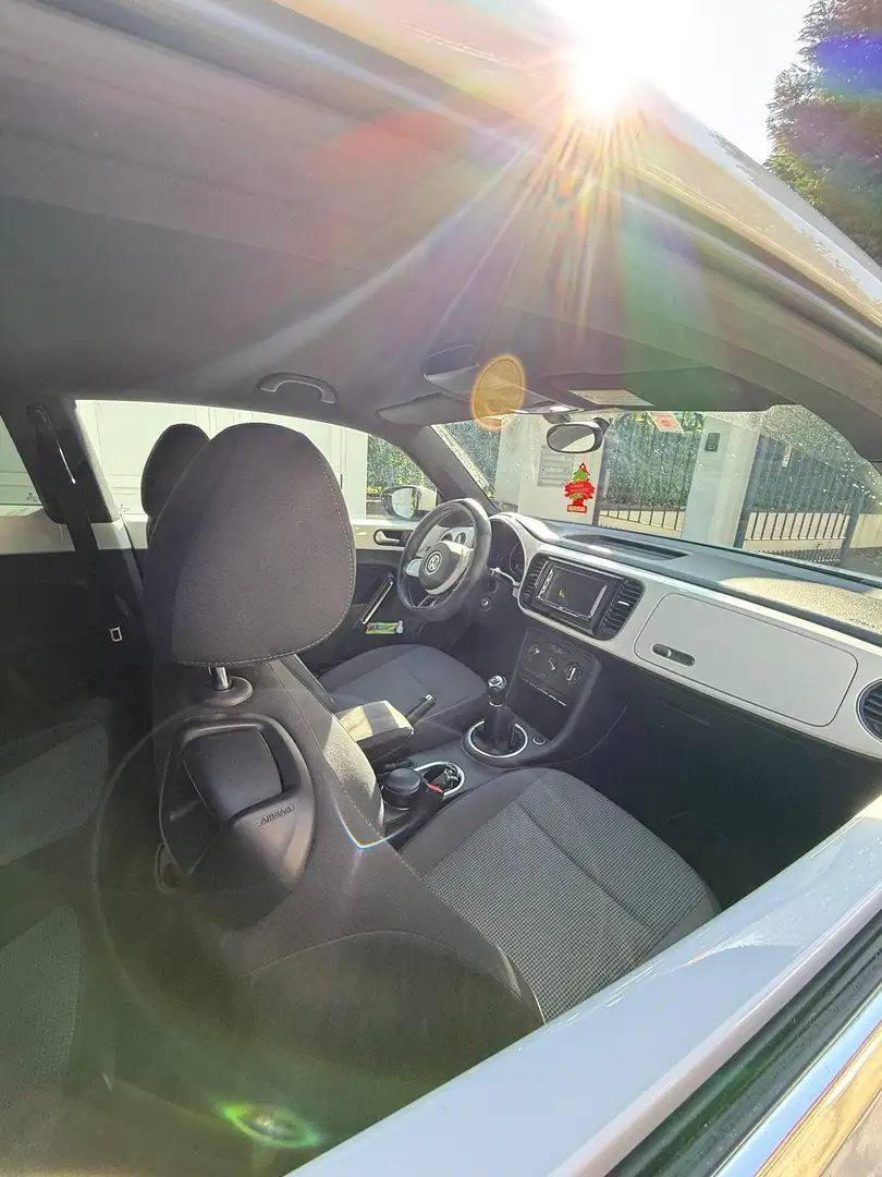 Volkswagen Beetle - 2