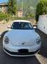 Volkswagen Beetle - thumbnail 12