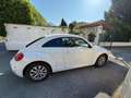 Volkswagen Beetle - thumbnail 11