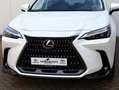 Lexus NX 350h AWD Luxury Line | 360 Camera | Head up | El Achter Blanc - thumbnail 32