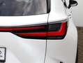 Lexus NX 350h AWD Luxury Line | 360 Camera | Head up | El Achter Blanc - thumbnail 35