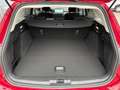Ford Focus Titanium Edition Turnier 125PS EcoBoost Rot - thumbnail 7