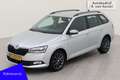 Skoda Fabia Combi 1.0 Business Edition I Dealer OH I NL-auto Grijs - thumbnail 1