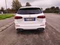 Mercedes-Benz B 200 AMG Sport Tagliandi Mercedes Tetto Apribile - thumbnail 13