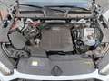 Audi Q5 Sportback S line 40 TDI quattro S tronic AHK MATR Weiß - thumbnail 21