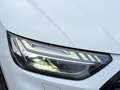 Audi Q5 Sportback S line 40 TDI quattro S tronic AHK MATR Weiß - thumbnail 6