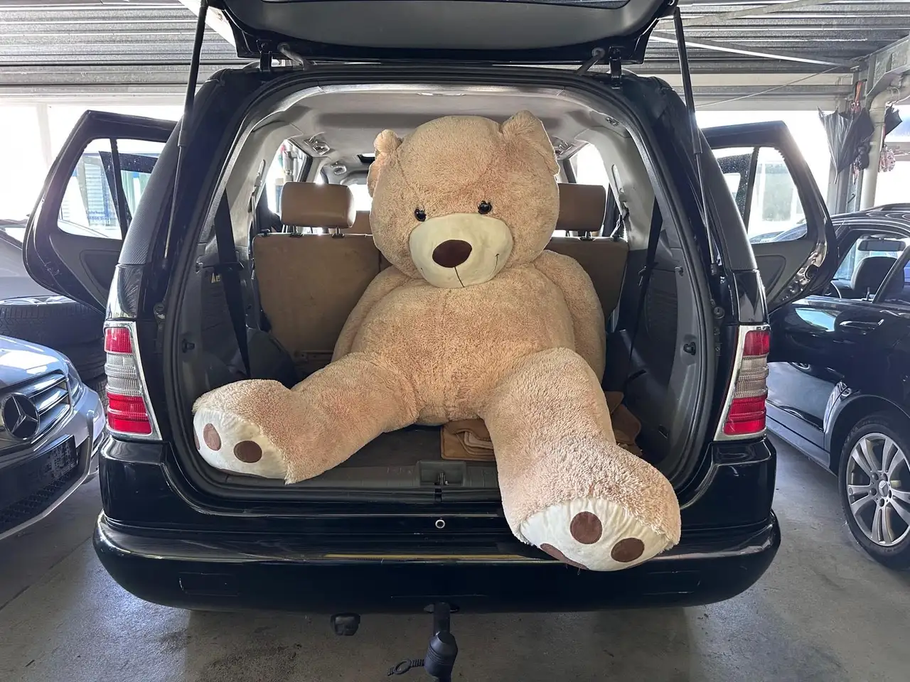 Mercedes-Benz ML 320 Gasanlage, foto 10