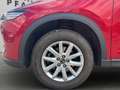 Mazda CX-5 CD150 AWD Edition 100 Rot - thumbnail 6