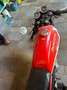 Ducati 500 Desmo Rouge - thumbnail 3