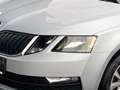 Skoda Octavia 1,6 TDI Ambition Limited 4x4 Grau - thumbnail 7