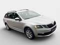 Skoda Octavia 1,6 TDI Ambition Limited 4x4 Grau - thumbnail 2