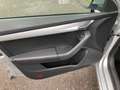 Skoda Octavia 1,6 TDI Ambition Limited 4x4 Grau - thumbnail 14