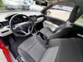 Suzuki Ignis IGNIS 1.2 DUALJET 5-GANG COMFORT+ NAVIGATION Rojo - thumbnail 14