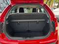 Suzuki Ignis IGNIS 1.2 DUALJET 5-GANG COMFORT+ NAVIGATION Rojo - thumbnail 22