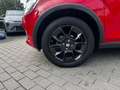 Suzuki Ignis IGNIS 1.2 DUALJET 5-GANG COMFORT+ NAVIGATION Rojo - thumbnail 7
