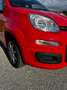 Fiat Panda 1,2 - neuwertig, Service/Pickerl 08/26 NEU. Rot - thumbnail 18