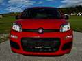 Fiat Panda 1,2 - neuwertig, Service/Pickerl 08/26 NEU. Rot - thumbnail 2