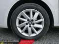 SEAT Ibiza 1.4 TDI 90 CV 5p. SOL Bianco - thumbnail 5