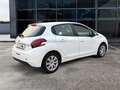 Peugeot 208 1.6 DIESEL 75 CV ADATTA NEOPATENTATI Bianco - thumbnail 4