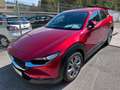 Mazda CX-30 Selection 2WD, Unfallfrei, 1.Hand Rot - thumbnail 2