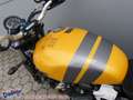 Triumph Street Scrambler = Scrambler 900 Modell 2024 Gelb - thumbnail 18