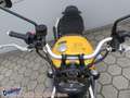 Triumph Street Scrambler = Scrambler 900 Modell 2024 Gelb - thumbnail 10