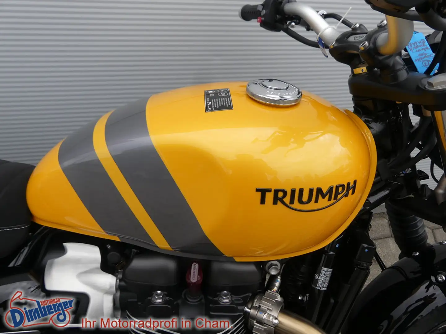 Triumph Street Scrambler = Scrambler 900 Modell 2024 Gelb - 2
