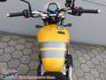 Triumph Street Scrambler = Scrambler 900 Modell 2024 Gelb - thumbnail 20