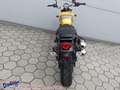 Triumph Street Scrambler = Scrambler 900 Modell 2024 Gelb - thumbnail 19