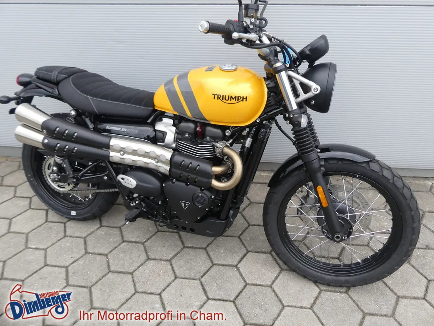 Triumph Street Scrambler = Scrambler 900 Modell 2024 Gelb - 1