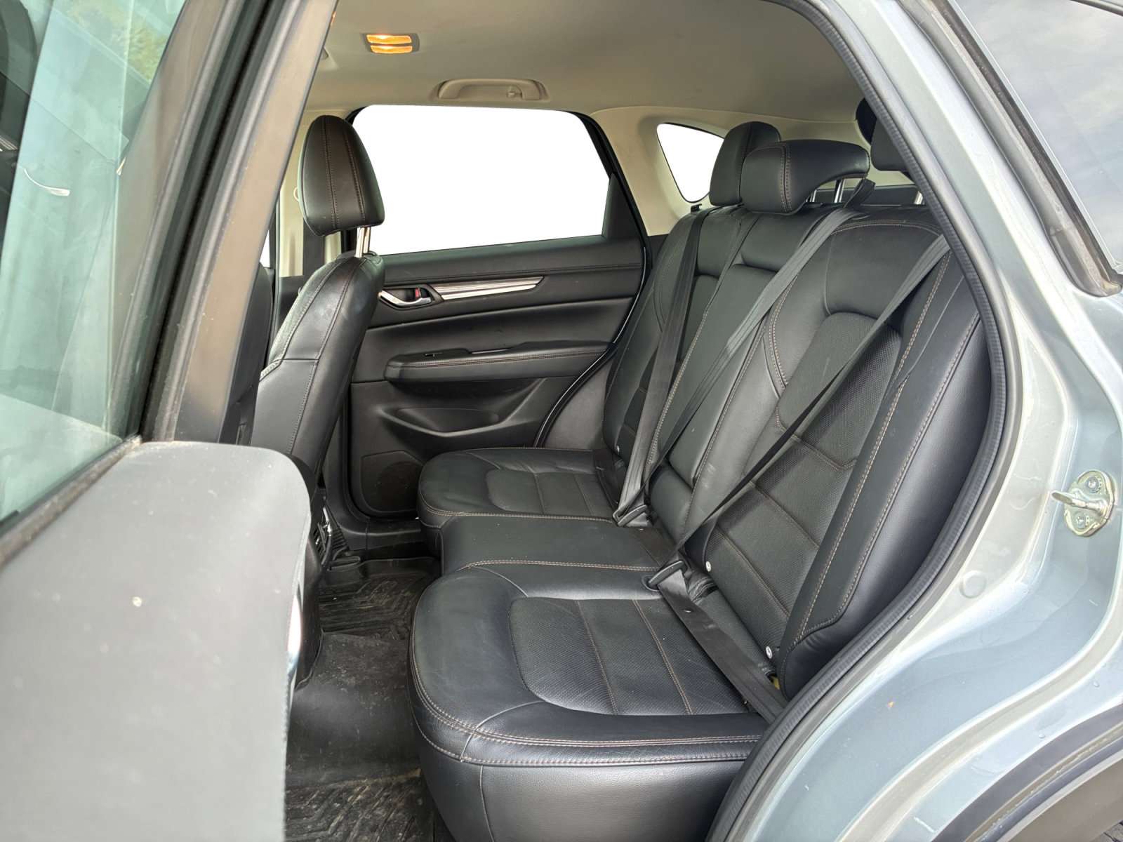 Image 7