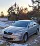 Skoda Octavia Beige - thumbnail 6