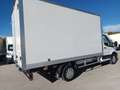 Ford Transit FT 350 Chasis Cabina 2.0 EcoBlue L3 Trend Blanco - thumbnail 7