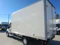Ford Transit FT 350 Chasis Cabina 2.0 EcoBlue L3 Trend Blanco - thumbnail 6