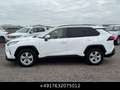 Toyota RAV 4 4x2 Comfort 2.0 Aut. 1Hd Kam *AKTION* Weiß - thumbnail 14