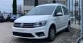 Volkswagen Caddy Comfortline 4Motion Navi Standheizung Alu Blanco - thumbnail 1