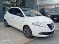 Lancia Ypsilon Ypsilon III 2011 1.3 mjt Platinum s Bianco - thumbnail 3