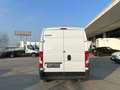 Fiat Ducato ducato 35 FURGONE LH2 140 CV GNV Blanco - thumbnail 7